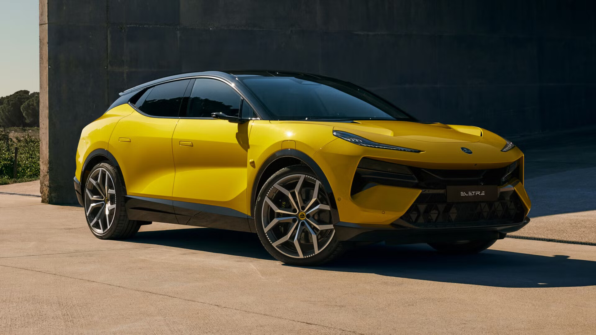 image of Lotus Eletre