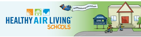 newsletter featured image